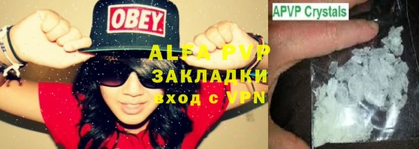 крисы Алексин