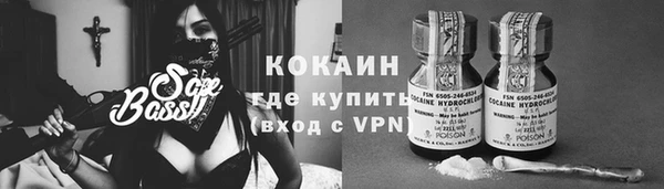 крисы Алексин