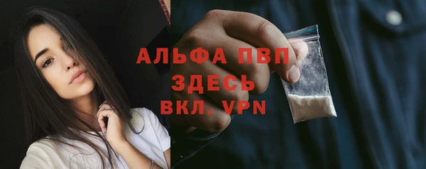 крисы Алексин