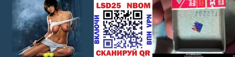 магазин    Новозыбков  Наркотические марки 1,8мг 